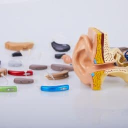 A collection of hearing aids.