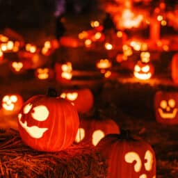 Pumpkins glow eerily under autumn night sky during Halloween celebrations in a festive pumpkin patch.