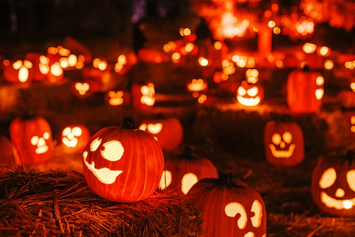 Pumpkins glow eerily under autumn night sky during Halloween celebrations in a festive pumpkin patch.
